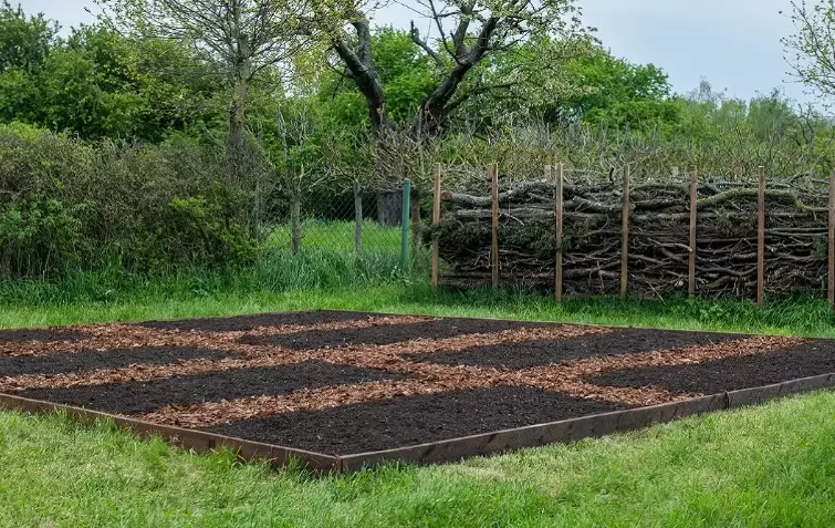 lasagna gardening lasagna gardening