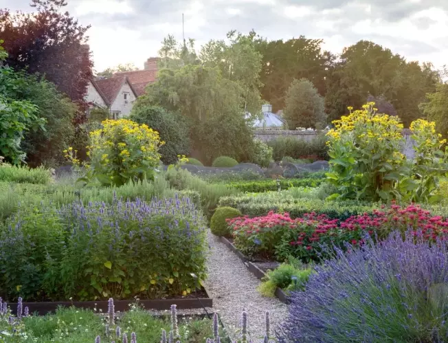 organic gardening tips organic gardening tips