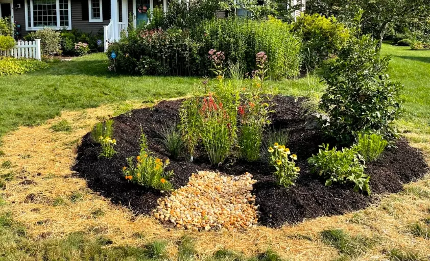 rain garden design
