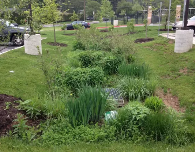 how to build a rain garden