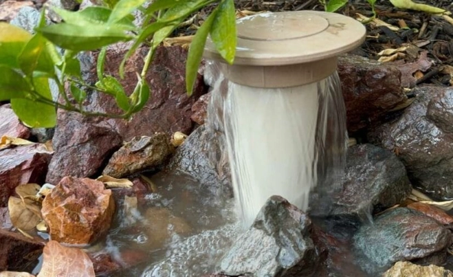 xeriscape garden xeriscape garden