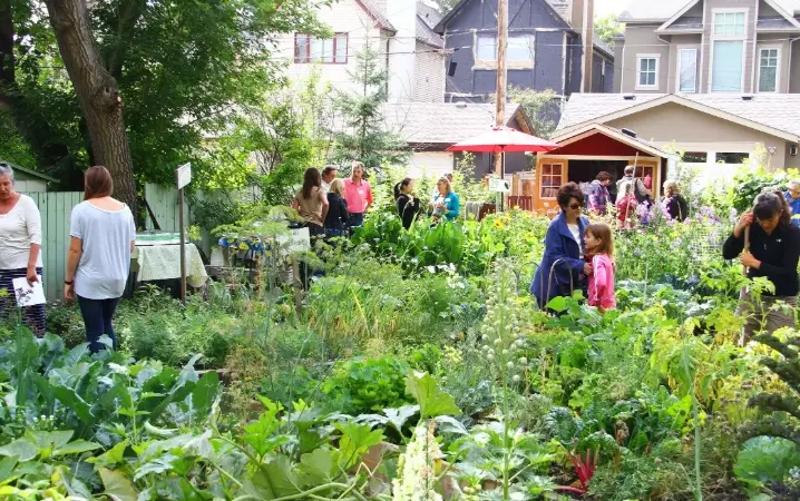 how to start a community garden
