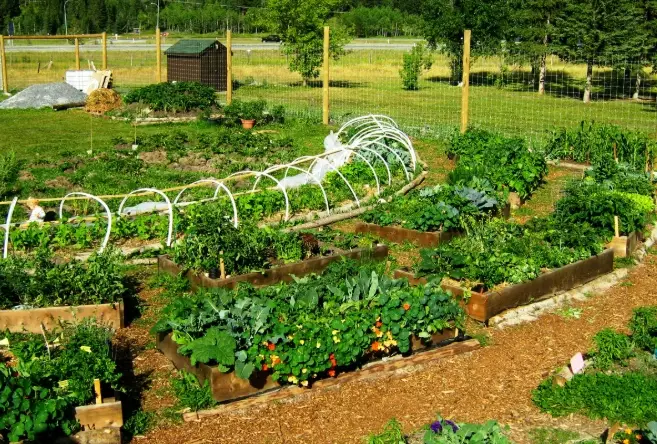 benefits of community gardens