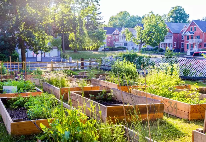 how to start a community garden