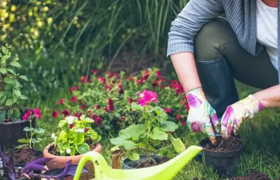 mental health benefits of gardening mental health benefits of gardening