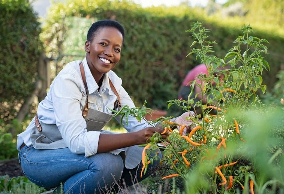 gardening therapy benefits gardening therapy benefits