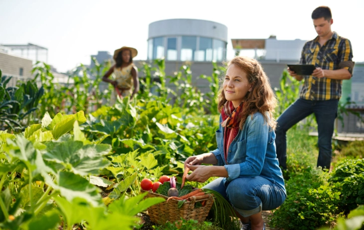 how to start a community garden