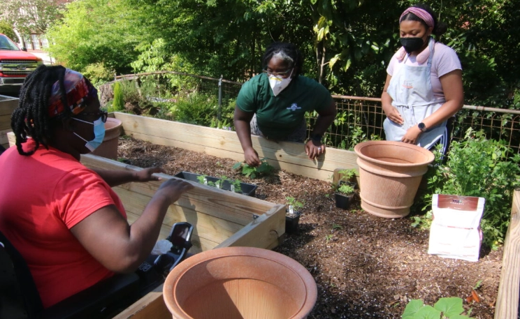 gardening for beginners