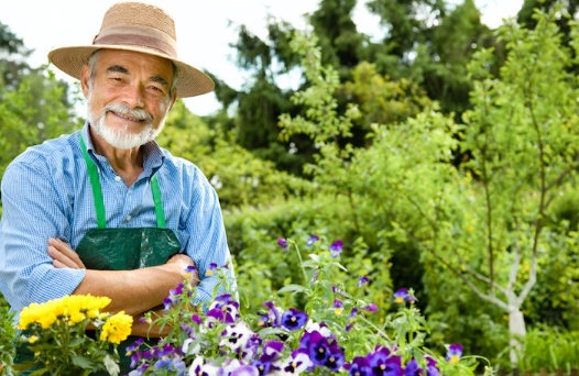 therapeutic gardening therapeutic gardening