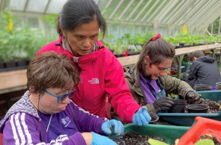 horticultural therapy horticultural therapy