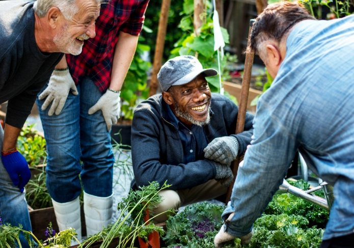 therapeutic gardening therapeutic gardening