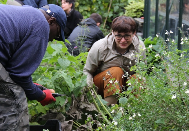 gardening therapy benefits gardening therapy benefits