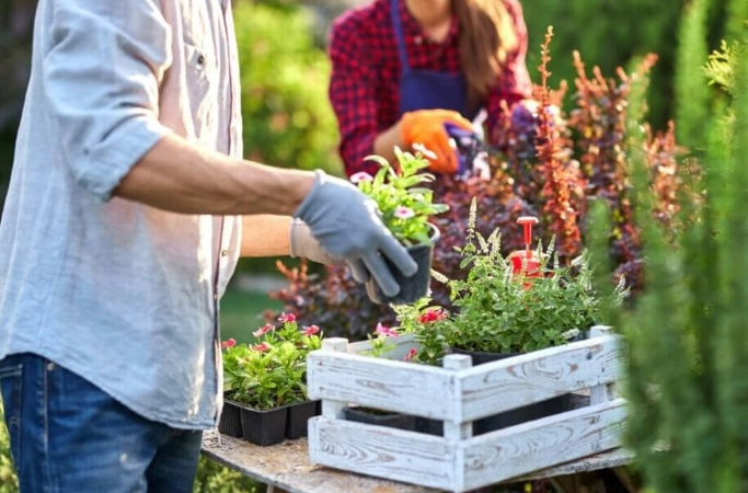 horticultural therapy horticultural therapy