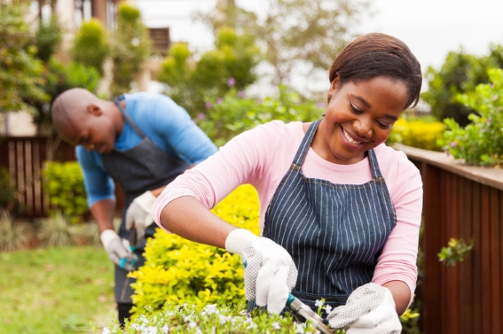 gardening for beginners