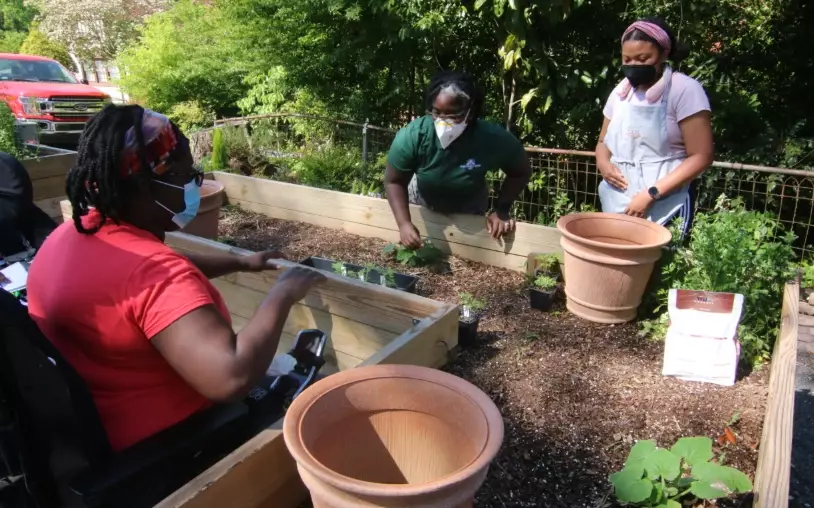 therapeutic gardening therapeutic gardening