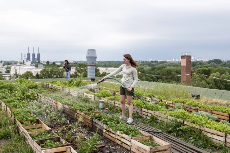 growing vegetables in small spaces