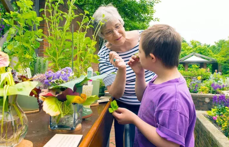 therapeutic gardening therapeutic gardening