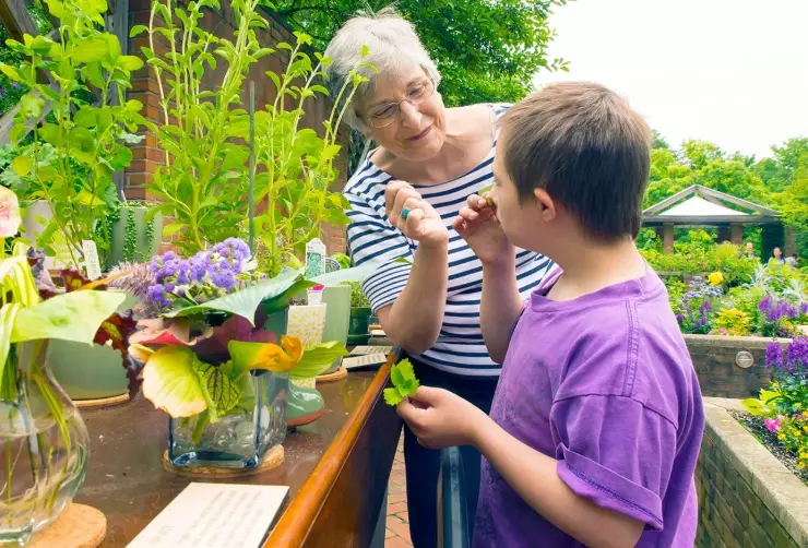 gardening therapy benefits gardening therapy benefits