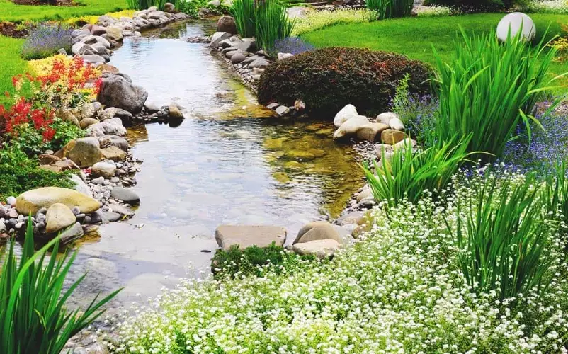 water gardening for beginners