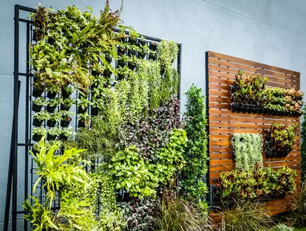 vertical gardening for beginners