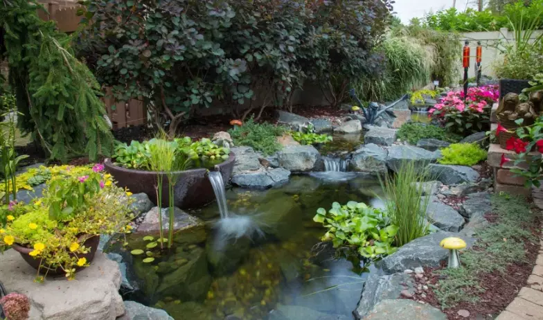 backyard pond ideas
