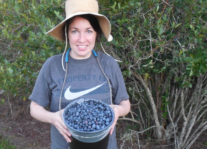 blueberry fertilizer blueberry fertilizer