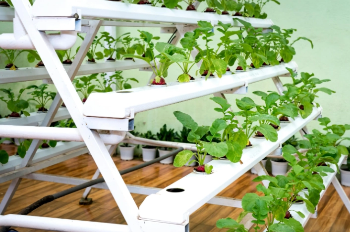 how to start hydroponic gardening how to start hydroponic gardening