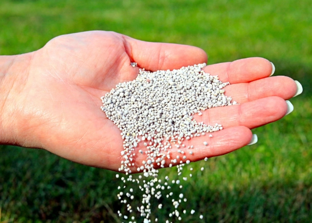 how to fertilize plants