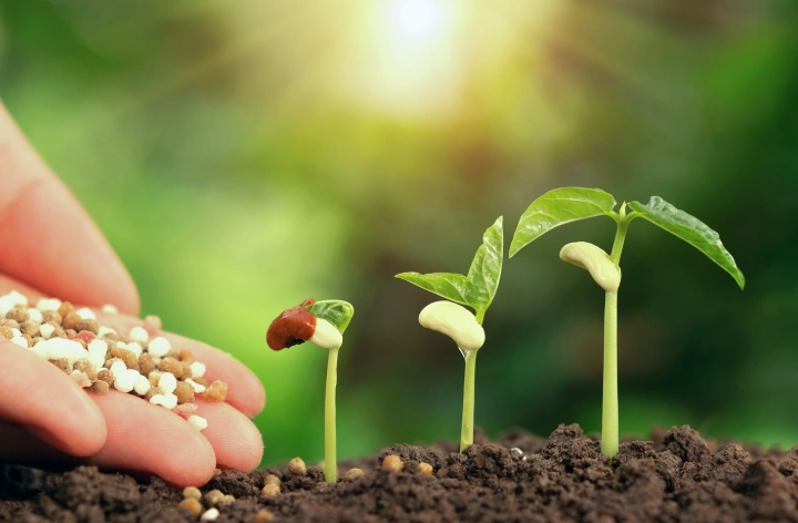 types of plant fertilizers