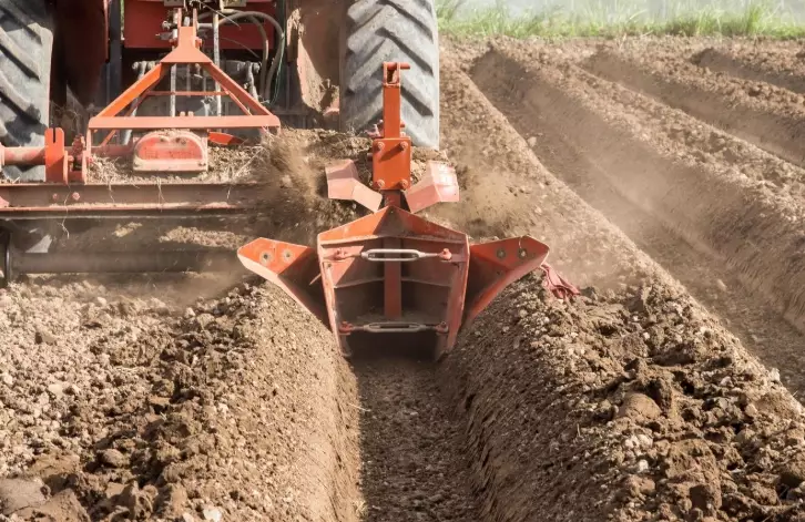 how to prepare soil for planting