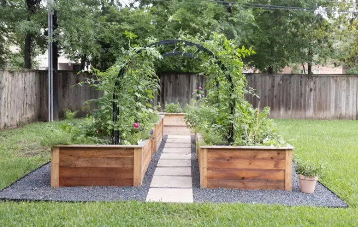 best plants for raised beds