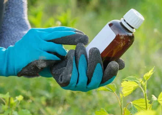 best fertilizer for okra