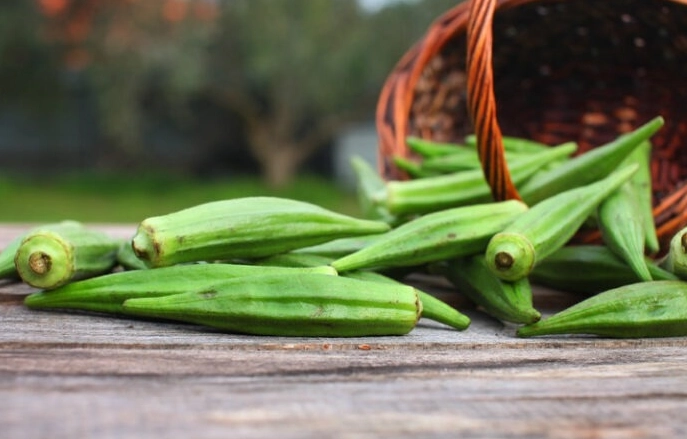how to fertilize okra