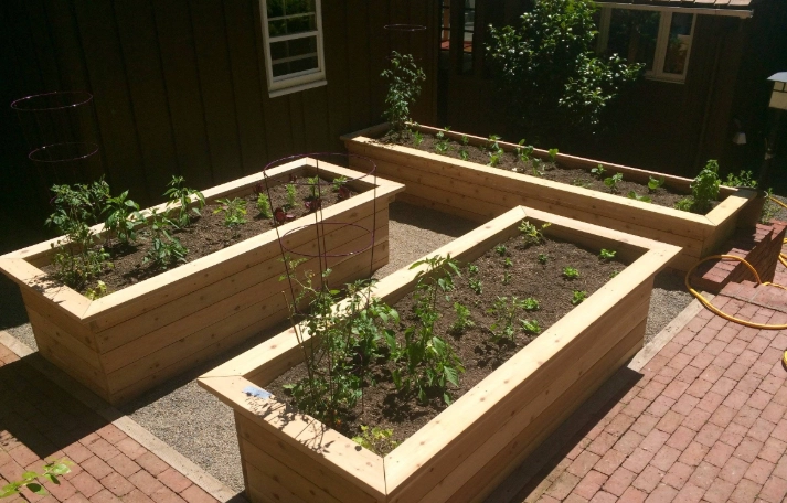 best plants for raised beds