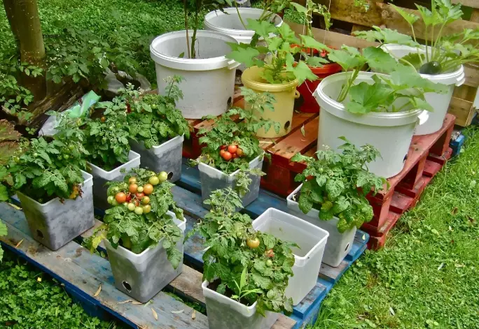 container gardening ideas