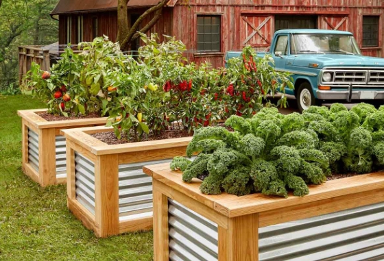 how to build a raised garden bed