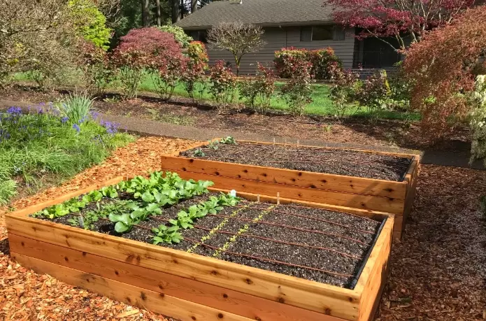 how to build a raised garden bed