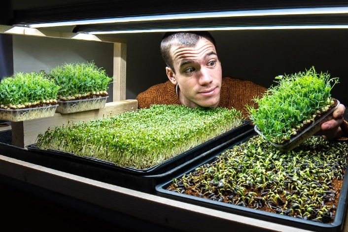 microgreens growing kit