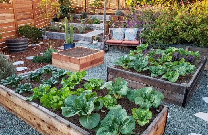 how to build a raised garden bed