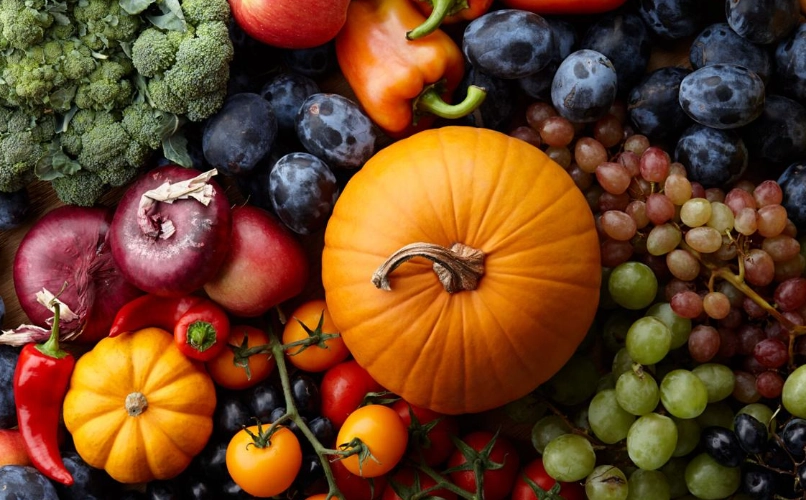 best vegetables to grow in fall