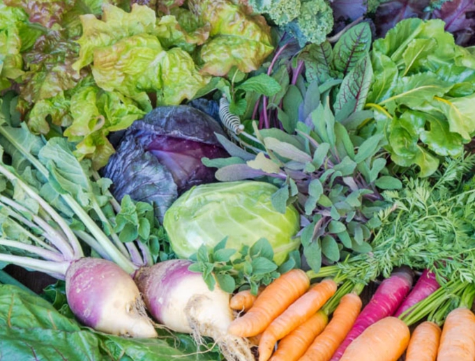 best vegetables to grow in fall