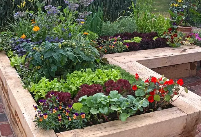 how to build a raised garden bed