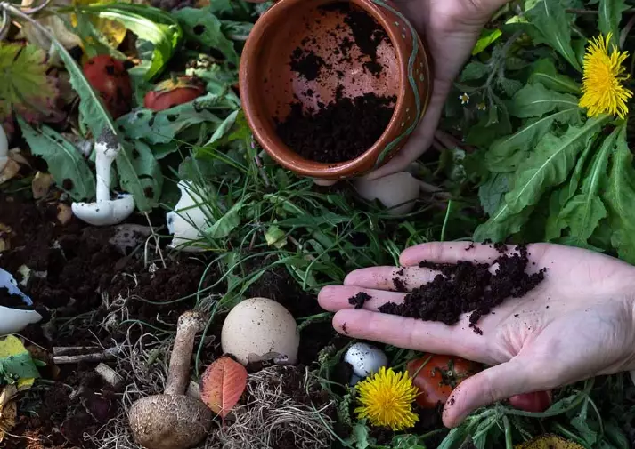 coffee grounds for compost
