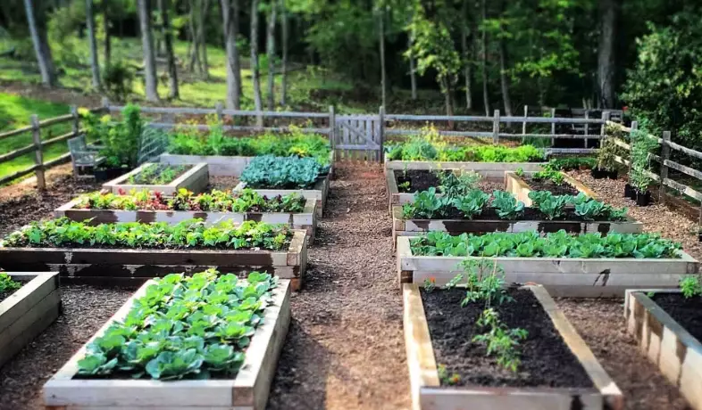 how to build a raised garden bed