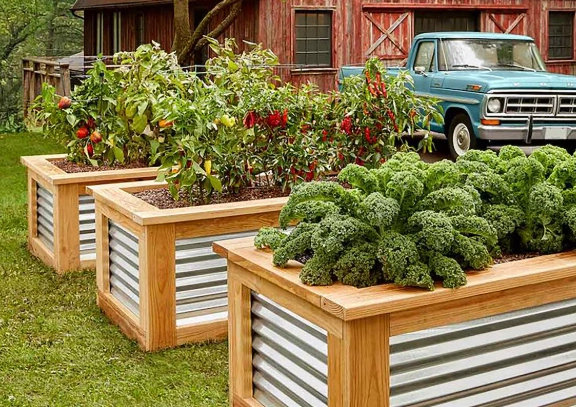 raised bed garden design raised bed garden design