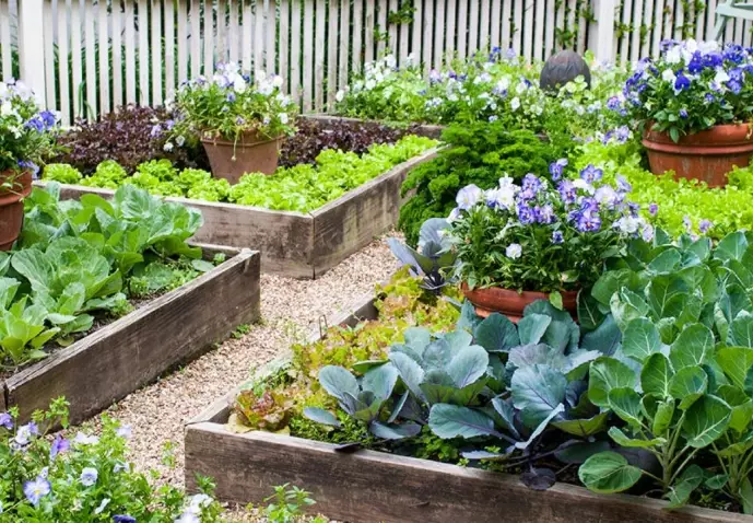 best soil for raised beds