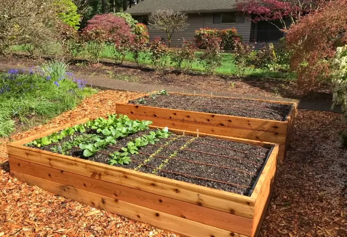 how to build a raised garden bed