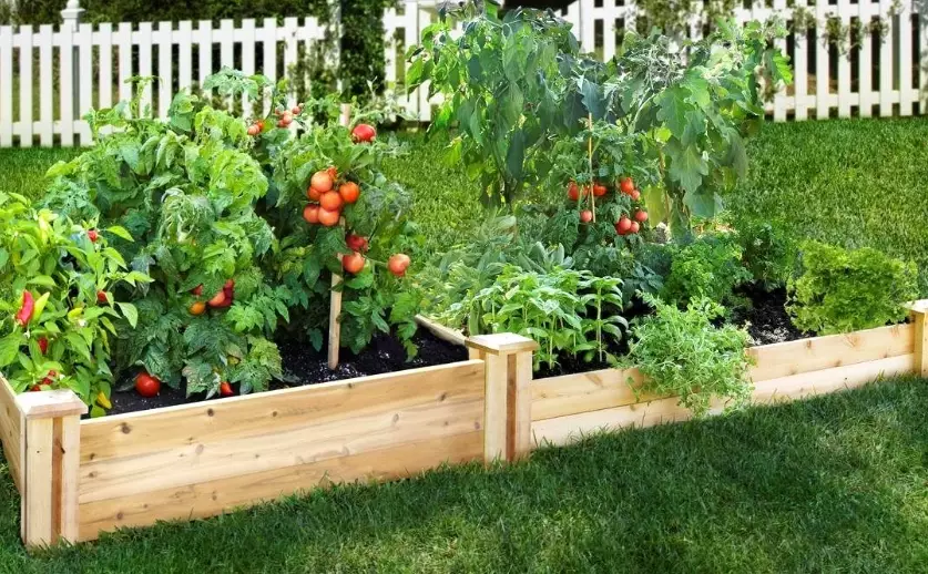 best soil for raised beds