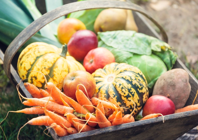 best vegetables to grow in fall