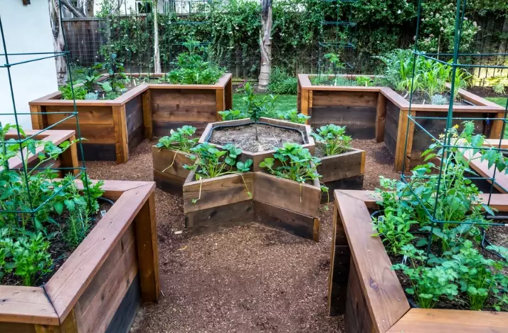 best soil for raised beds